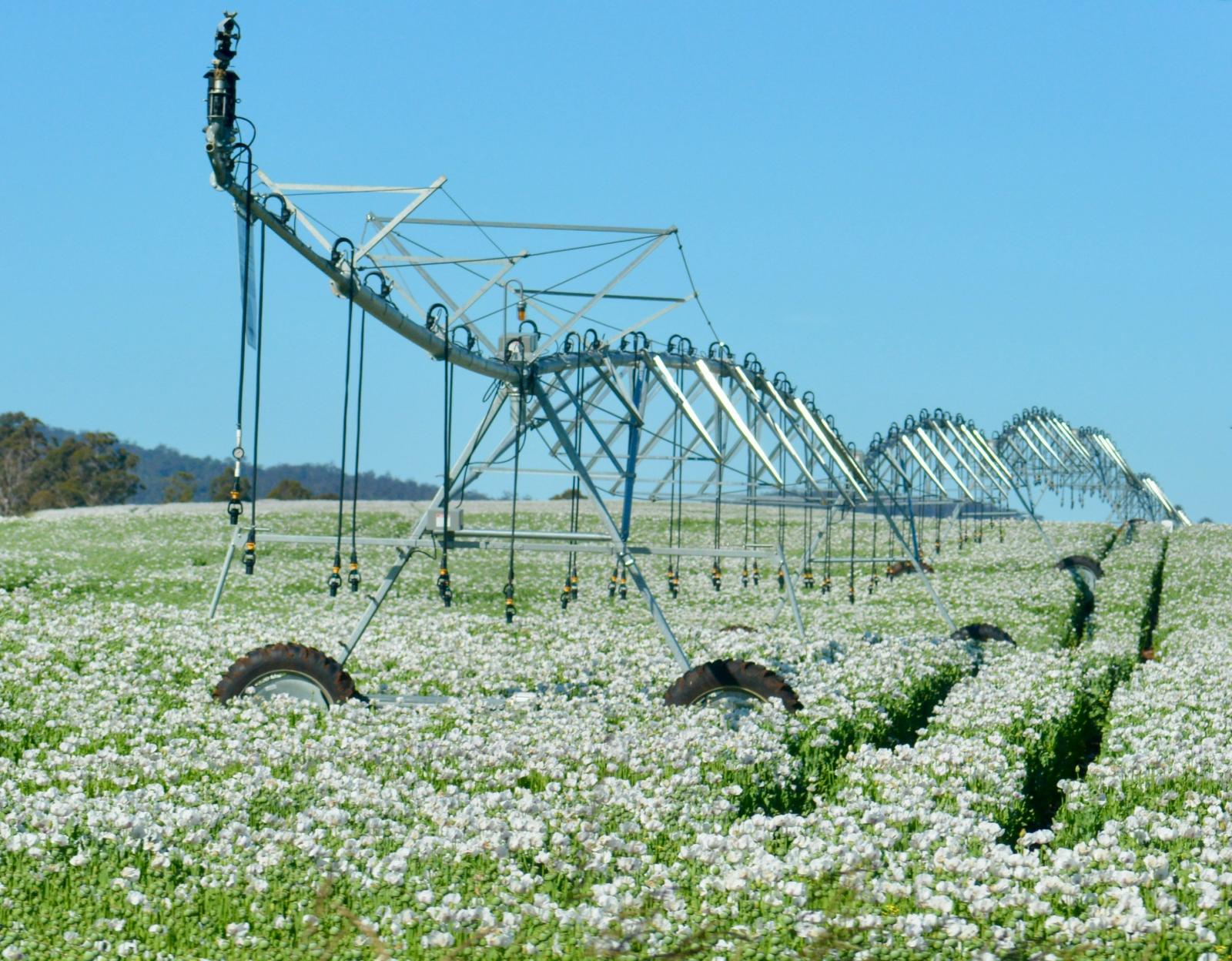 Agricoltura e Garden